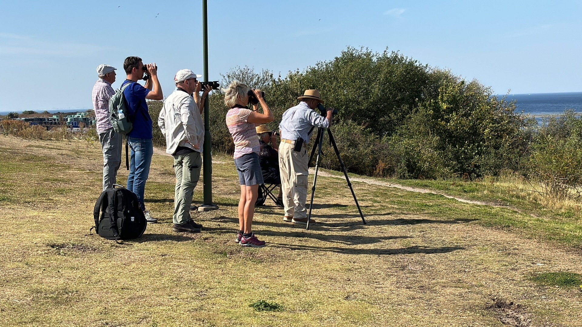 Sweden-IFBR-Sep-2024